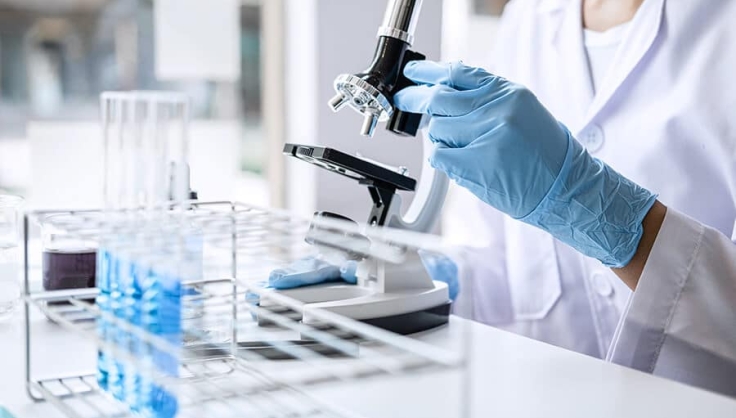 Totara Iniciar sesión